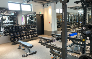 �G�j�^�C���t����X