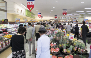 LifeStage21�O��2