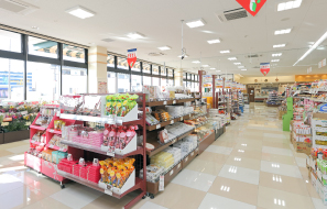 �t�B�[���L�쐼�X