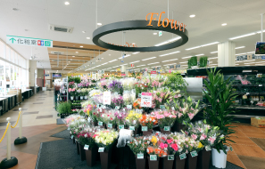 ���a�� �t����{���X